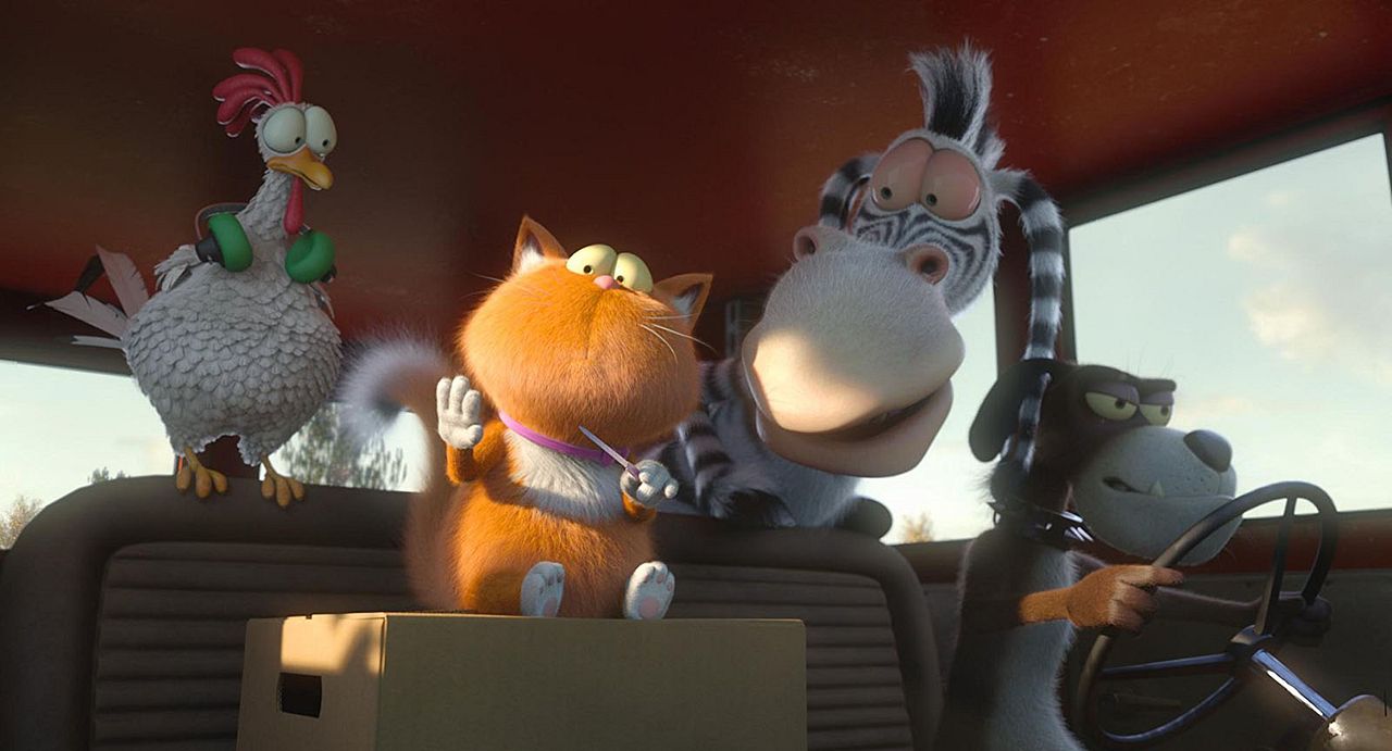 Agente 00 - gato : Foto