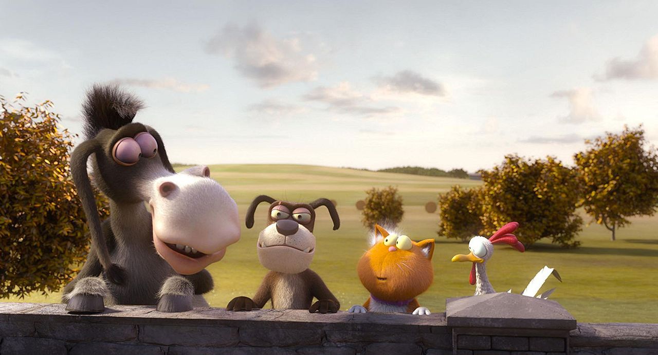 Agente 00 - gato : Foto