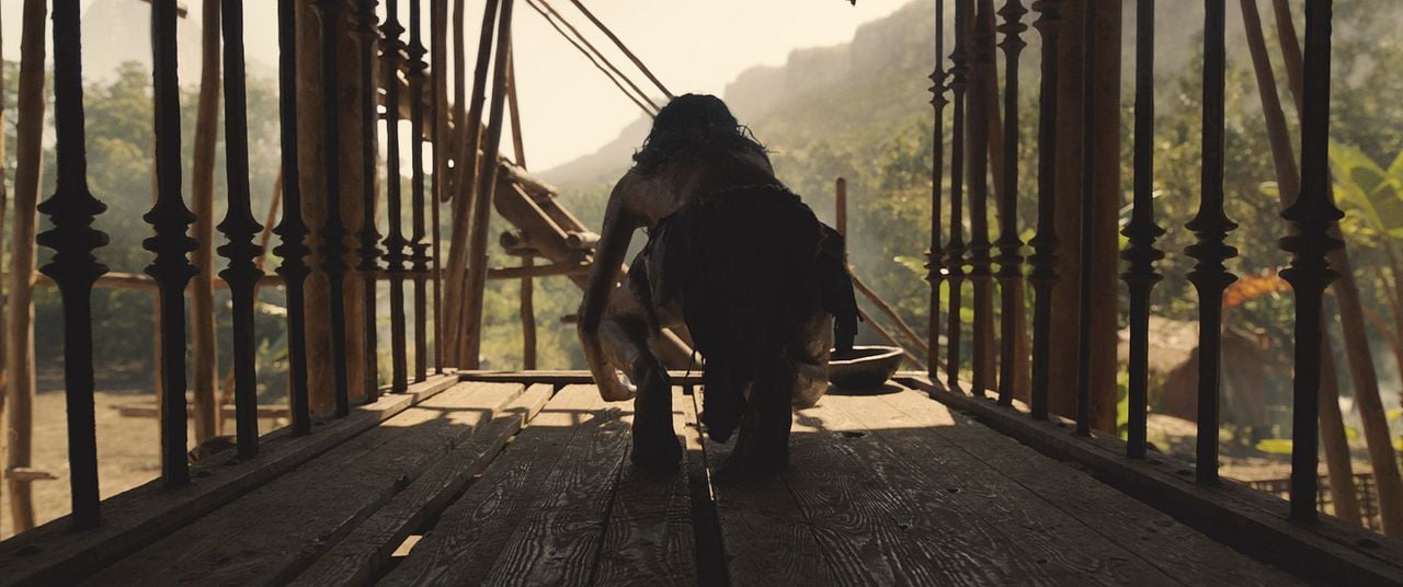 Mowgli: Legend Of The Jungle : Foto