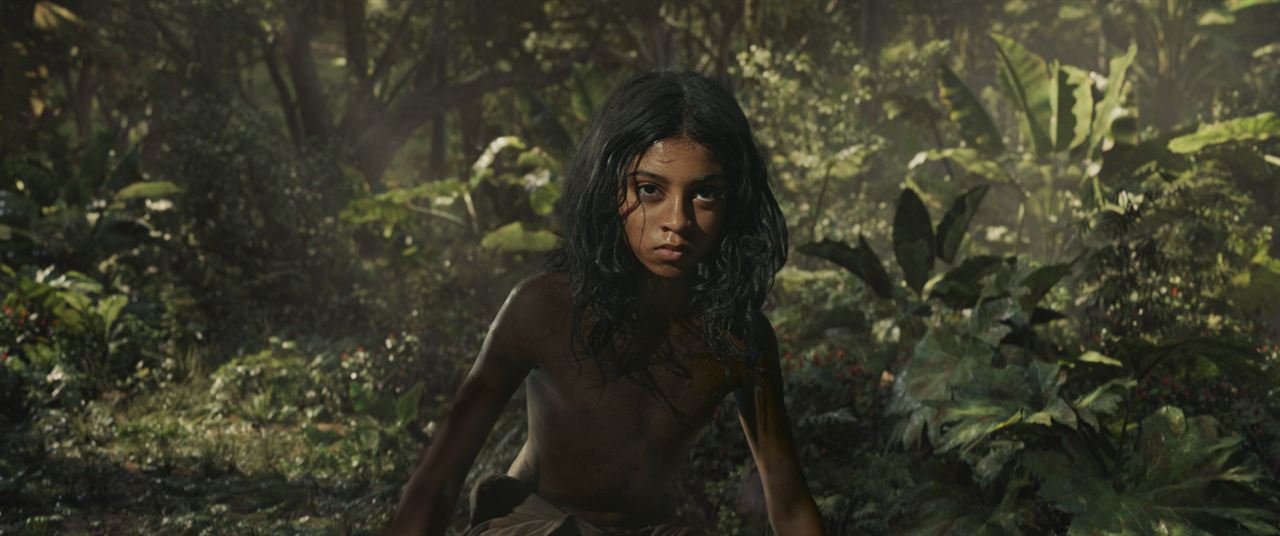 Mowgli: Legend Of The Jungle : Foto Rohan Chand (II)