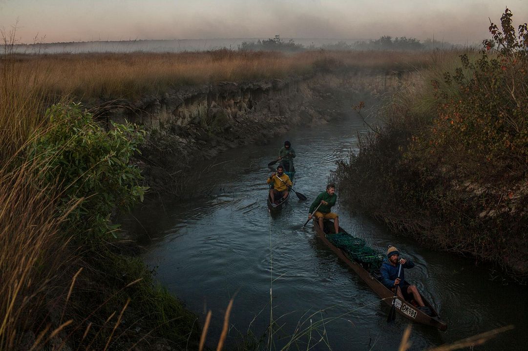Into the Okavango : Foto