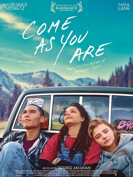 The Miseducation of Cameron Post : Póster