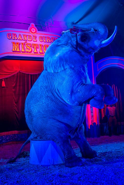 O grande circo místico : Foto