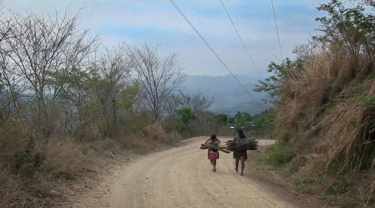 Siempre andamos caminando : Foto