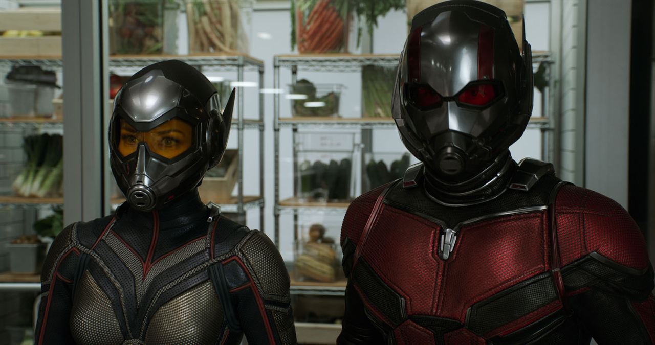 Ant-Man and the Wasp : Foto Evangeline Lilly, Paul Rudd