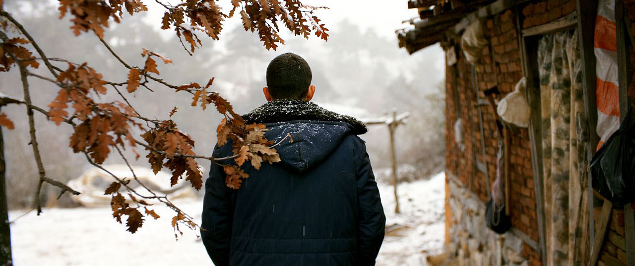 El peral silvestre : Foto