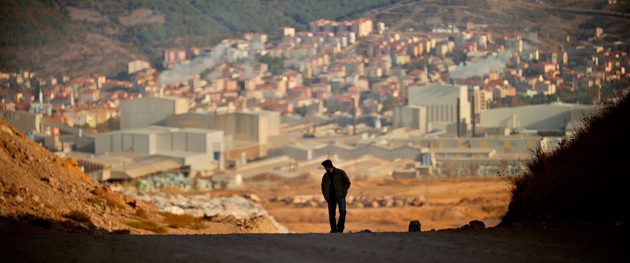 El peral silvestre : Foto