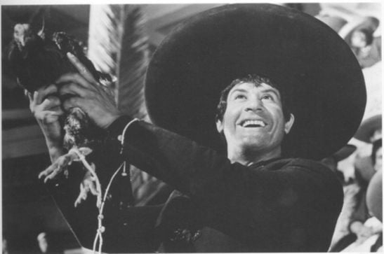 El gallo de oro : Foto