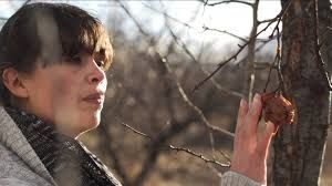 No sucumbió la eternidad : Foto