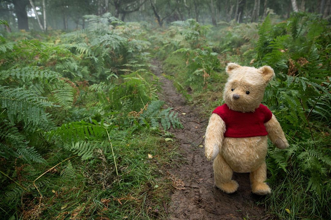 Christopher Robin: Un reencuentro inolvidable : Foto