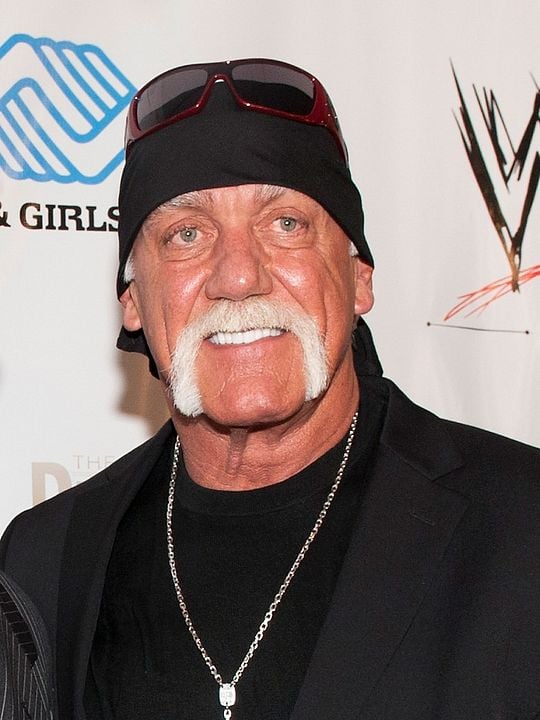 Póster Hulk Hogan