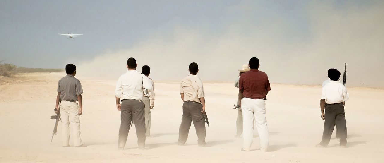 Pájaros de Verano : Foto