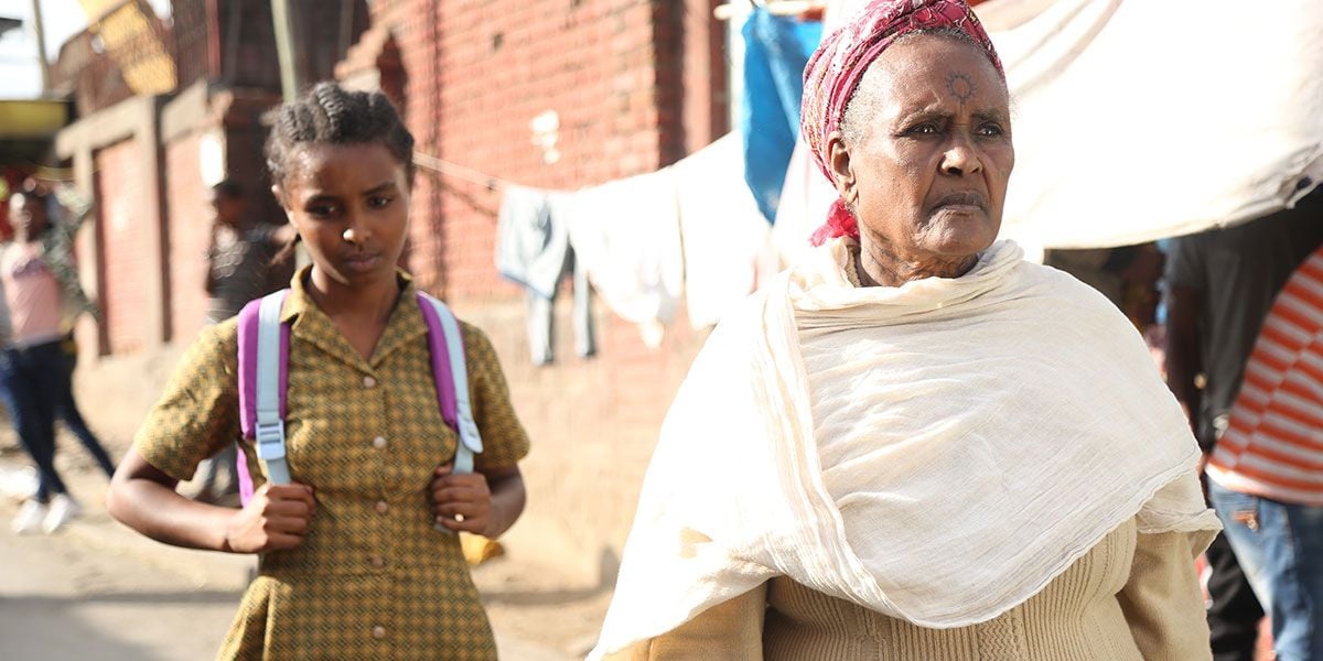 El árbol de Higo : Foto