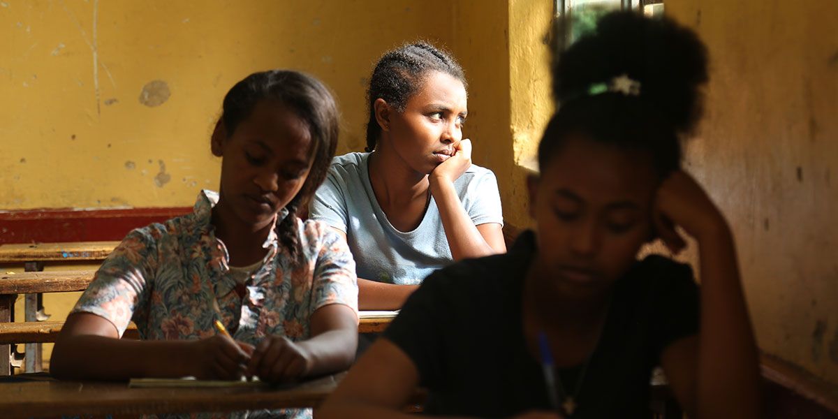 El árbol de Higo : Foto