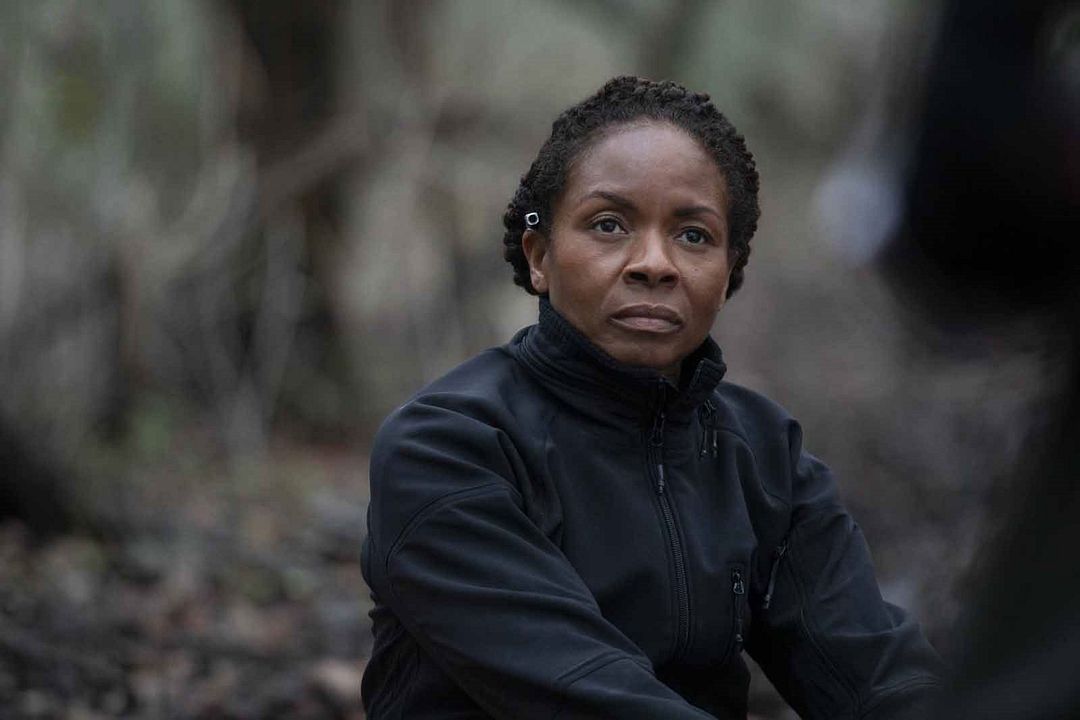 Foto LisaGay Hamilton