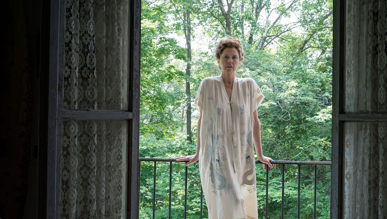 The Seagull : Foto Annette Bening