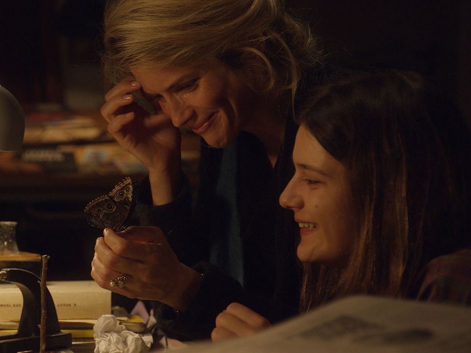 La última locura de la señora Darling : Foto