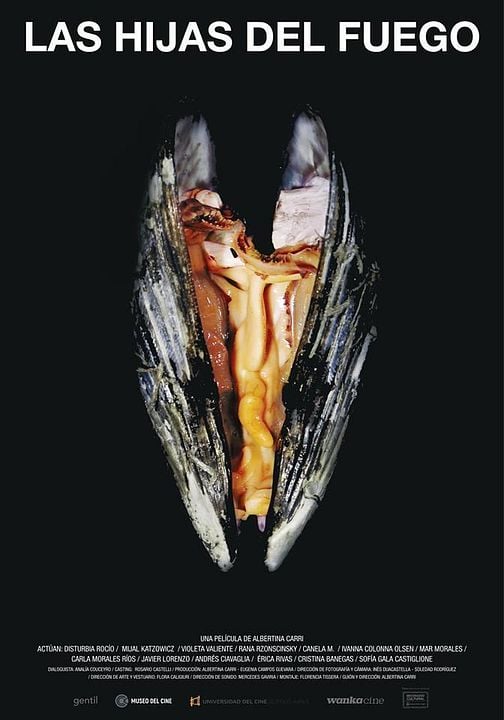 Las Hijas del Fuego : Póster
