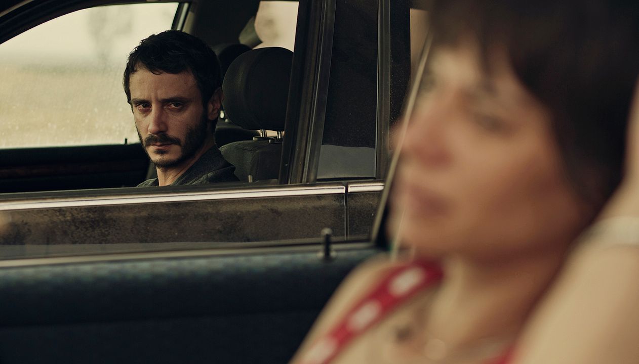 Animales sin collar : Foto