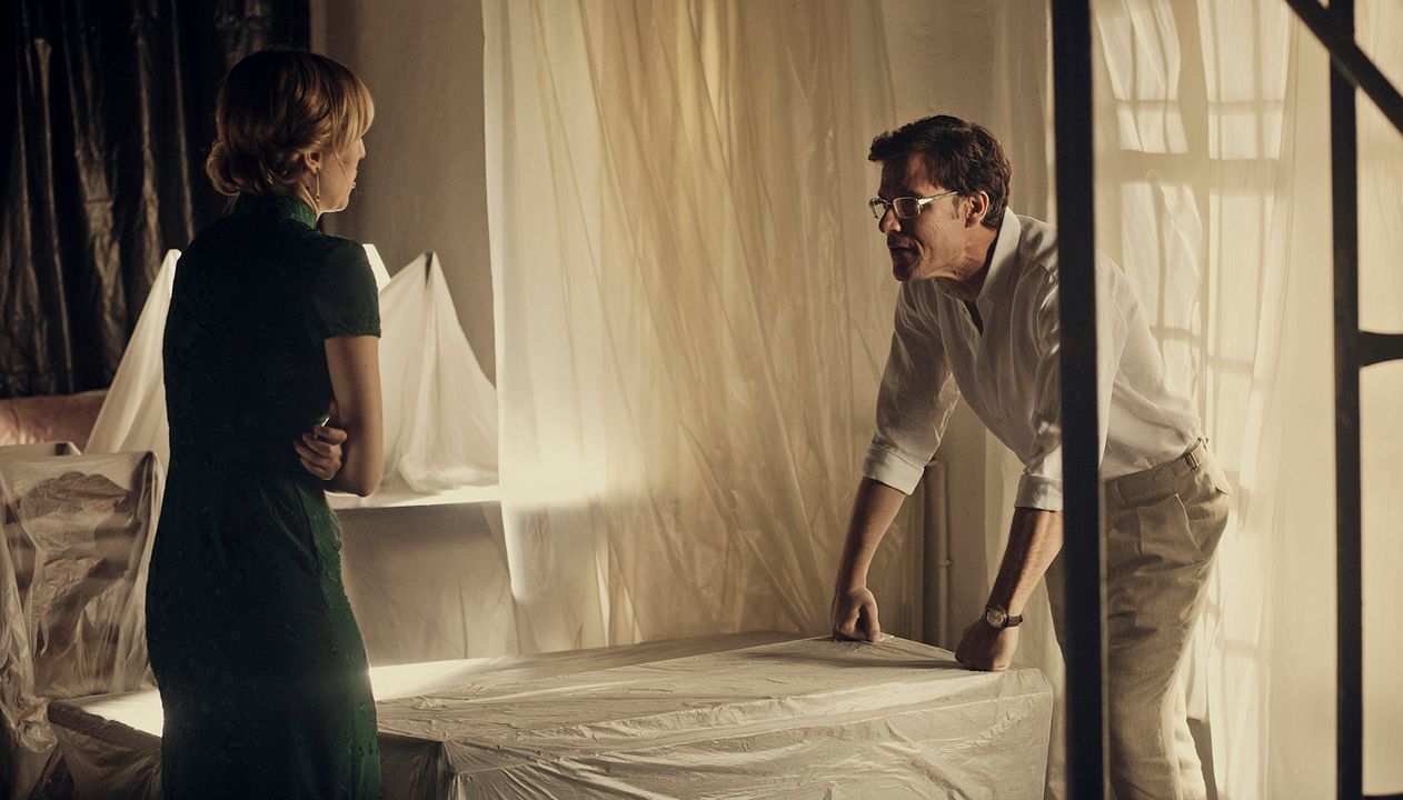 Animales sin collar : Foto