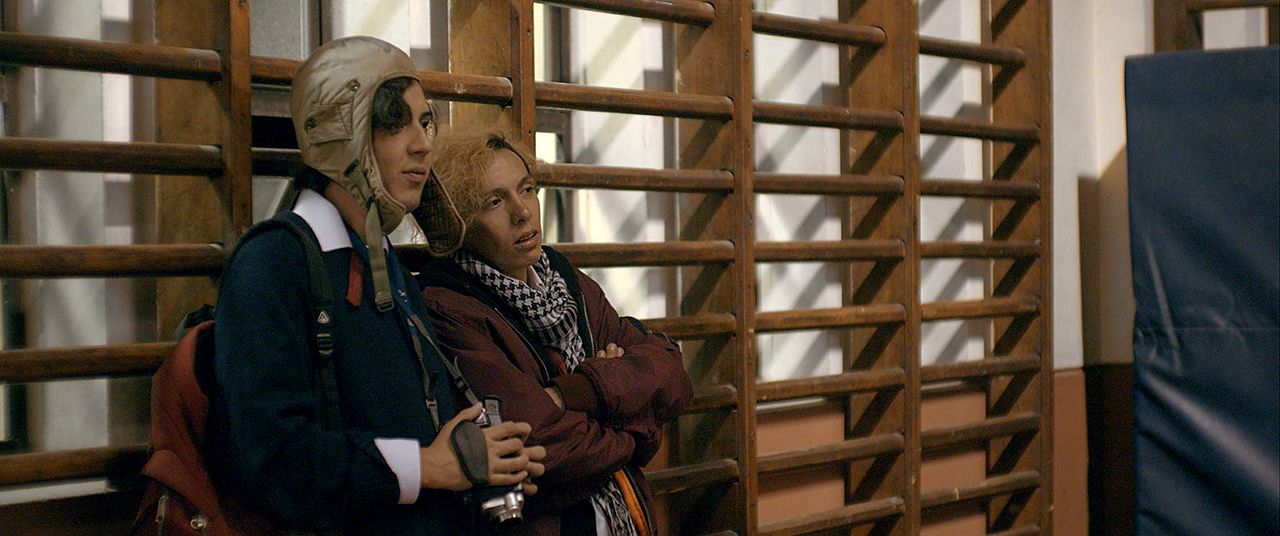 La isla de los pingüinos : Foto