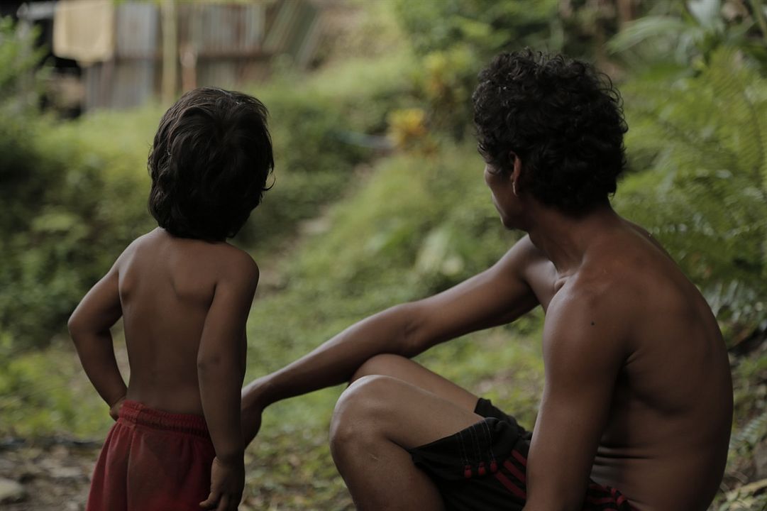 Nosotros las piedras : Foto