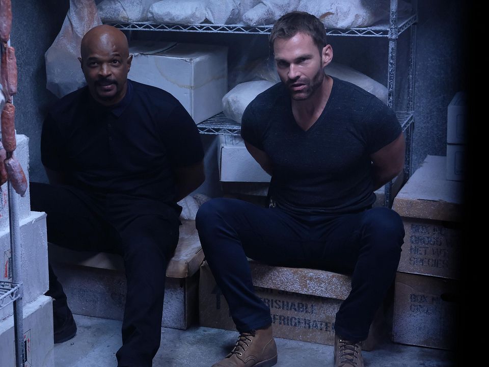 Foto Seann William Scott