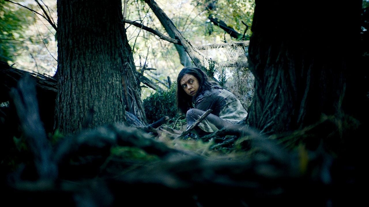 Criaturas nocturnas : Foto