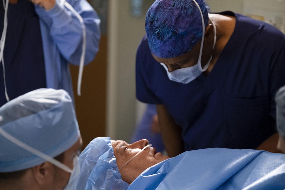 Grey's Anatomy : Foto James Pickens Jr.