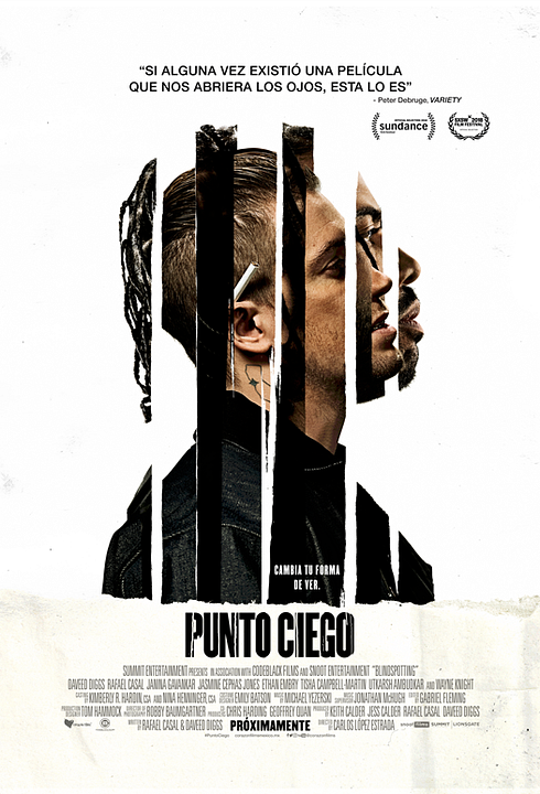 Punto ciego : Póster