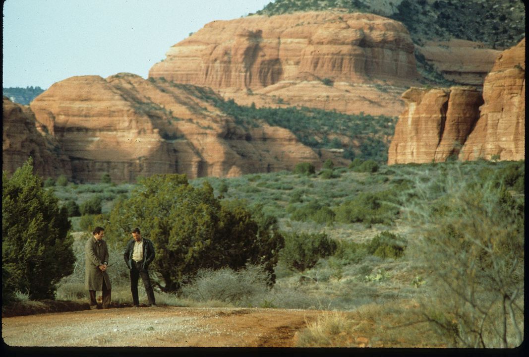 Fuga a la media noche : Foto