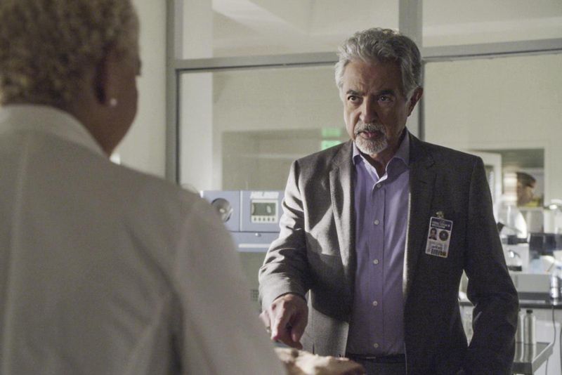 Mentes criminales : Foto Joe Mantegna