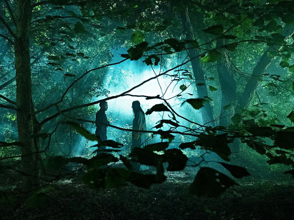 La purga : Foto Gabriel Chavarria, Jessica Garza