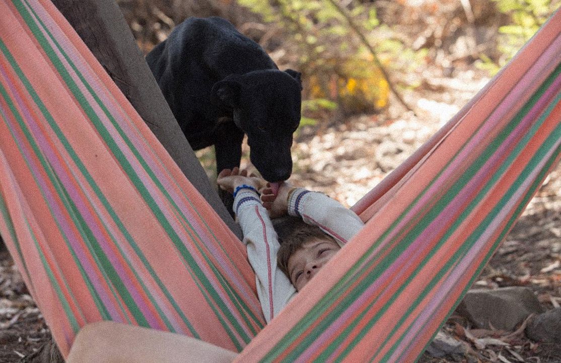 Tarde para morir joven : Foto