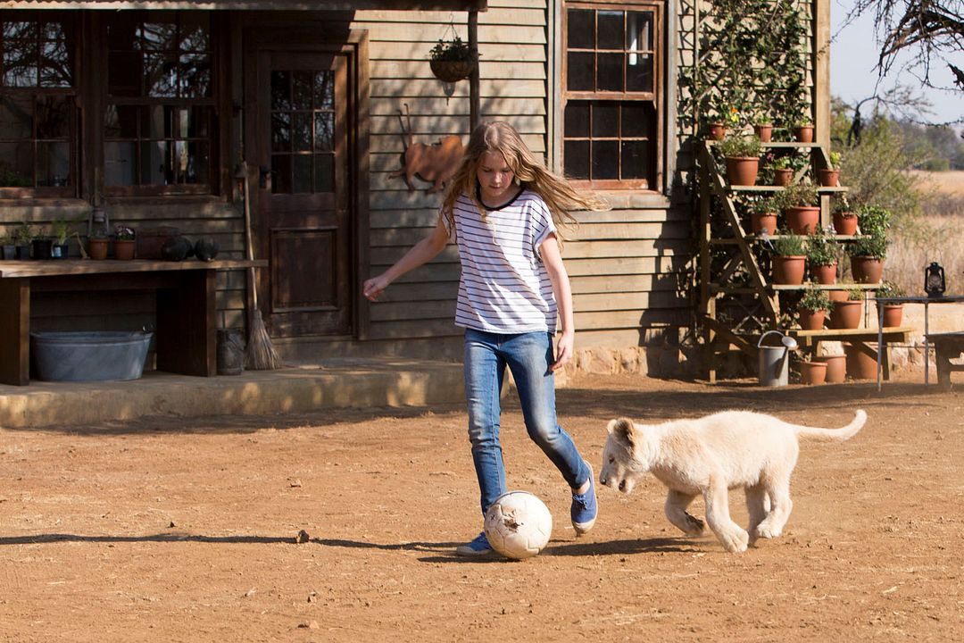 Mi mascota es un león : Foto