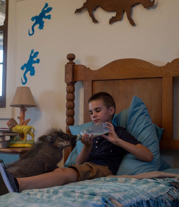 Mi mascota es un león : Foto