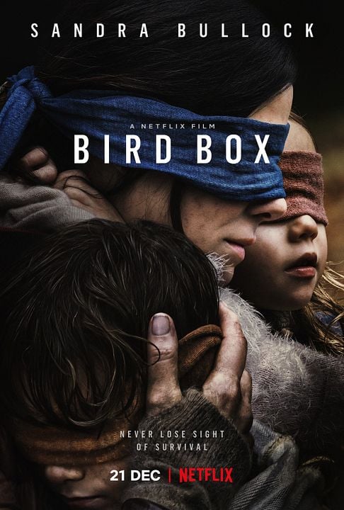 Bird Box: A ciegas : Póster