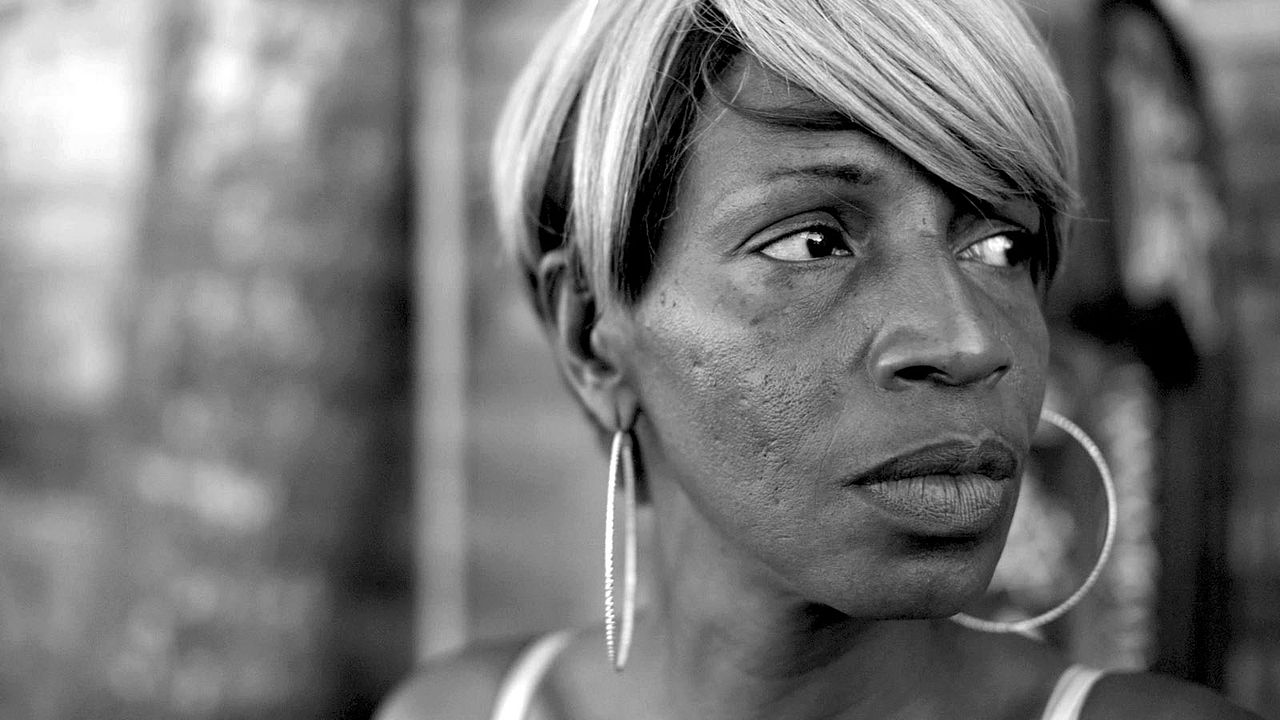 ¿Qué harás cuando el mundo esté en llamas? : Foto