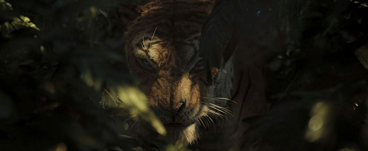 Mowgli: Legend Of The Jungle : Foto