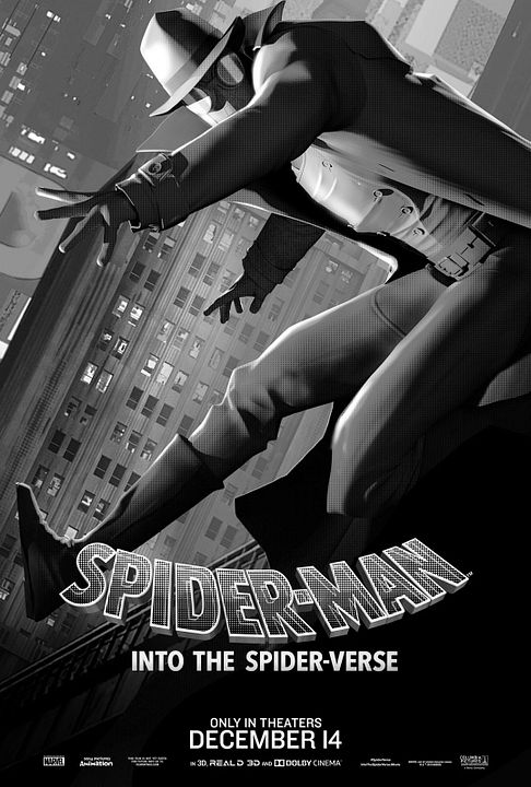 Spider-Man: un nuevo universo : Póster