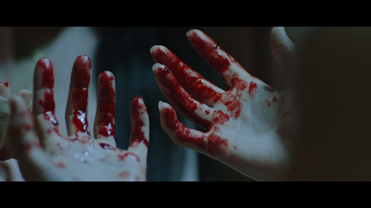 Querida hermana : Foto