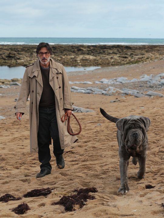 Mi perro Tonto : Póster