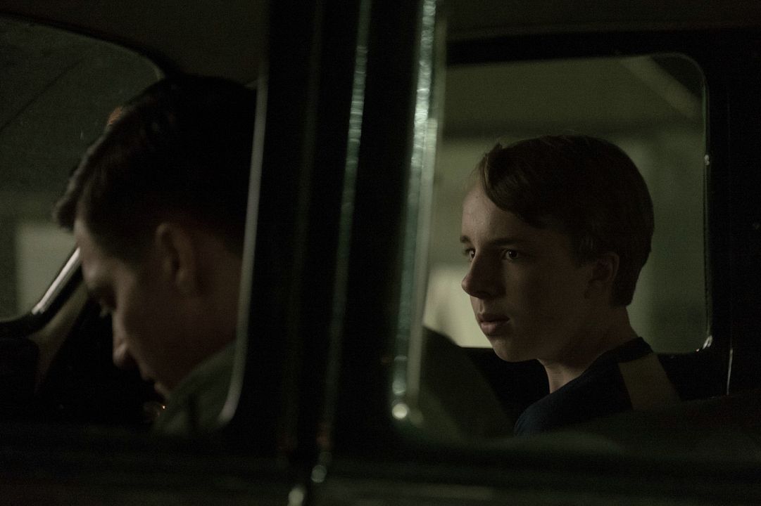 Wildlife : Foto Ed Oxenbould