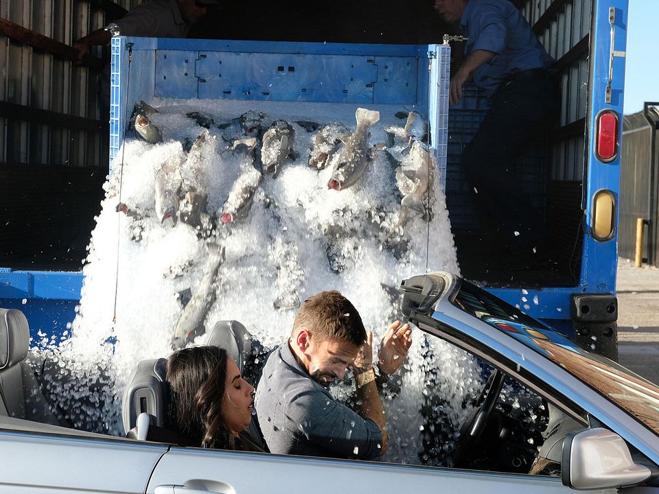 Foto Seann William Scott