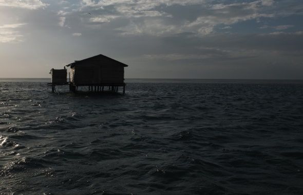 El reino de la sirena : Foto