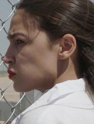 A la conquista del Congreso : Póster