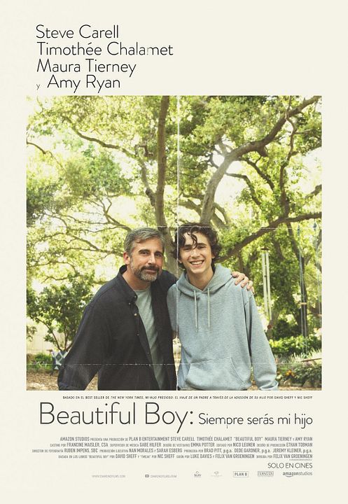 Beautiful Boy: siempre serás mi hijo : Póster