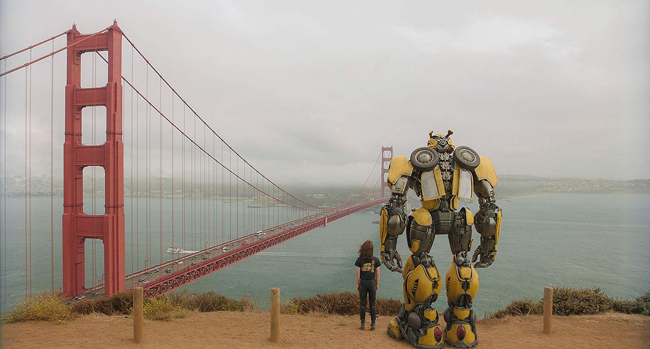 Bumblebee : Foto