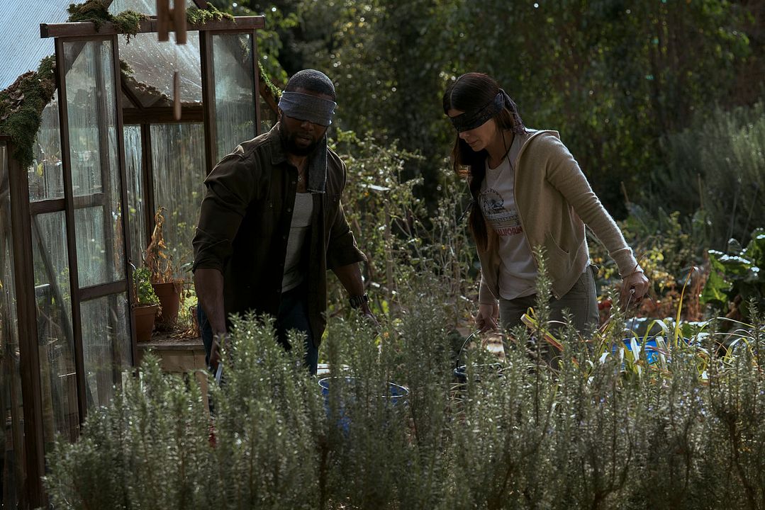 Bird Box: A ciegas : Foto Trevante Rhodes, Sandra Bullock