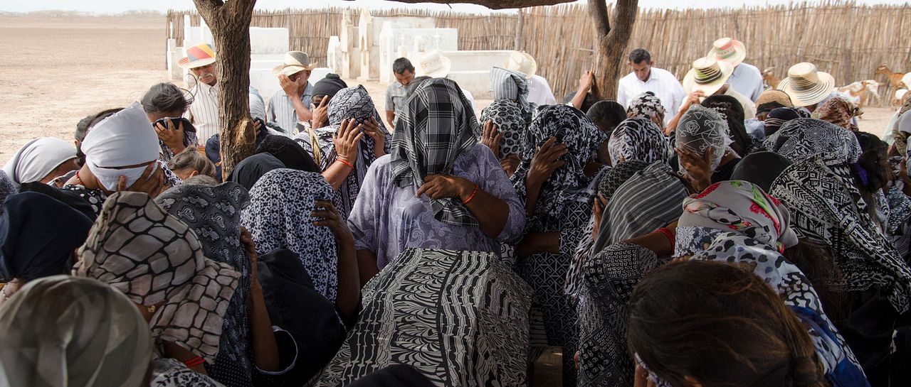 Pájaros de Verano : Foto